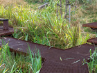 Ditch in Remiseparken, BOGL (2022)