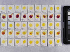 Photo documentation of pigment PY151 in 5% concentration, after treatment