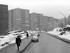 Haugenstua