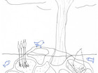 Sketch_section of floating bird island 2