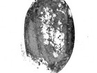 Aubergine, A14