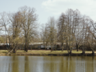 Det polske marked nær grænsen til Muskauer Park