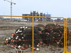 Site Context