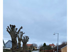 Østre Havnevej streetscape