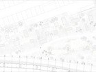 Zoom-in on the urban garden