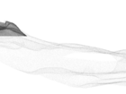 Skålforma Marin Svamp