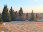 Protected Nature: Open Landscape