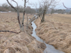 Protected Nature: UNESCO Protected Stream