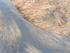 Protected Nature: Spontaneous Waterbodies