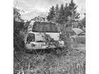 Billeder fra site