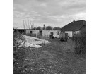 Billeder fra site