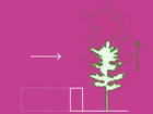 Design diagram 