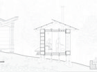 Section 