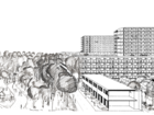 section