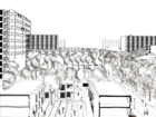 section