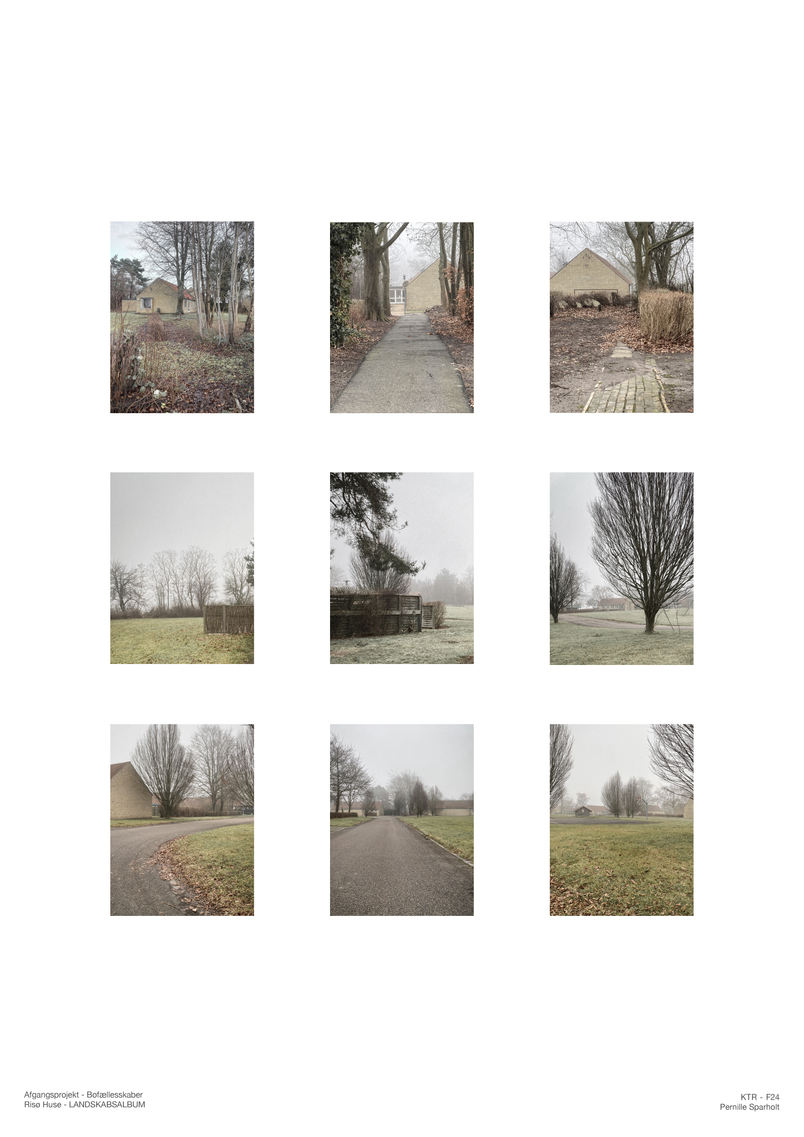 Album - Omgivelser 