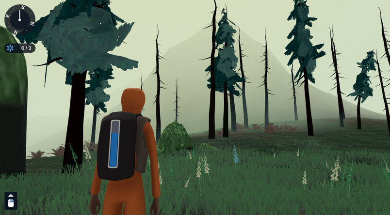 Pine Forest