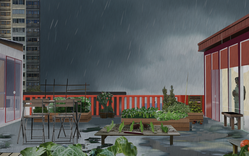 The rooftop gardens functioned as semi-private spaces, in between the public and the home, providing the possibility of a closer relation between neighbours, and a common space for acitivites such as gardening.