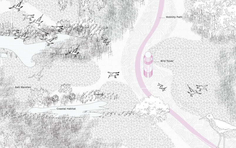 transformed coastal landscape