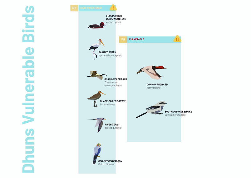 Endangered Birds of Dhun