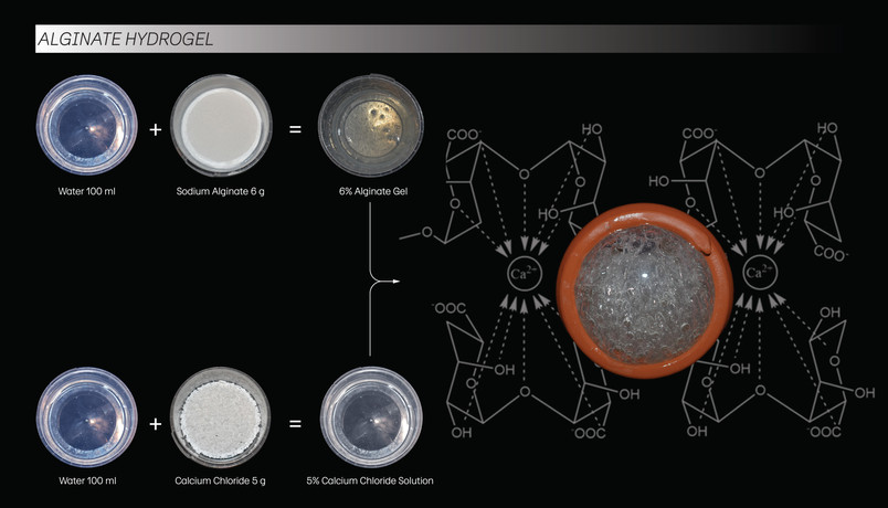 Alginate Hydrogel 