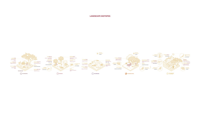 Austin Tang_4.1 Typologies_03