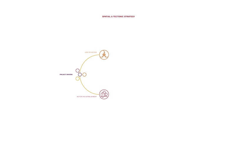 Austin Tang_3.0 Project Strategy_03