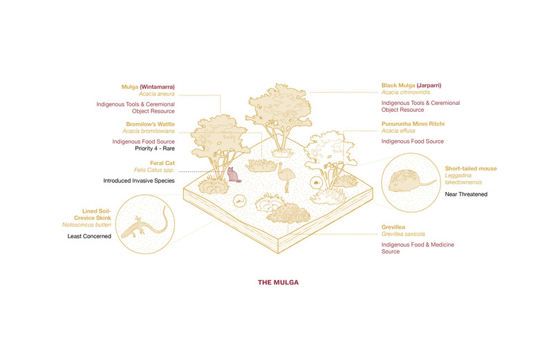 Austin Tang_4.1 Landscape Typology_02