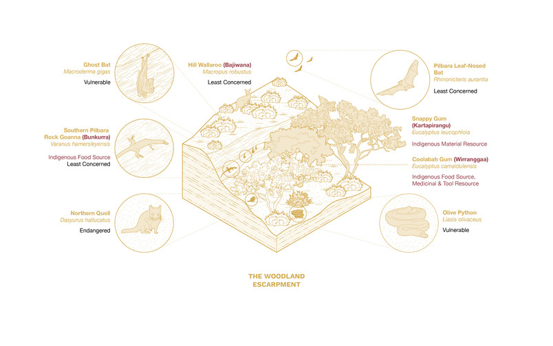 Austin Tang_4.1 Landscape Typology_05
