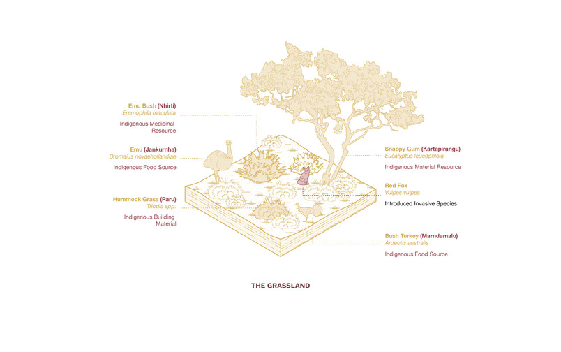 Austin Tang_4.1 Landscape Typology_01
