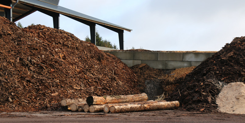 Rewood - Sawmill