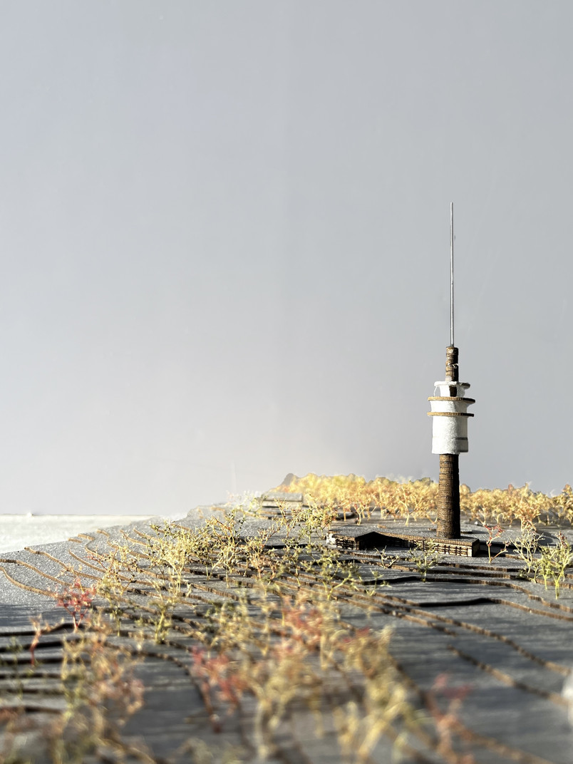 Landskaps- modell 1:1000