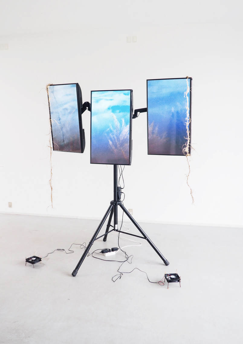 Digital model display. 2x2x2m. Rack with reeds and monitors. 