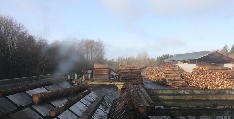 Rewood - background