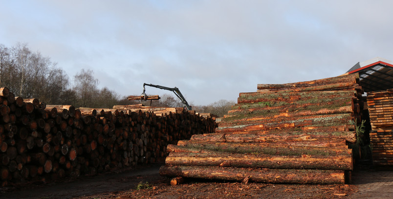 Rewood - background
