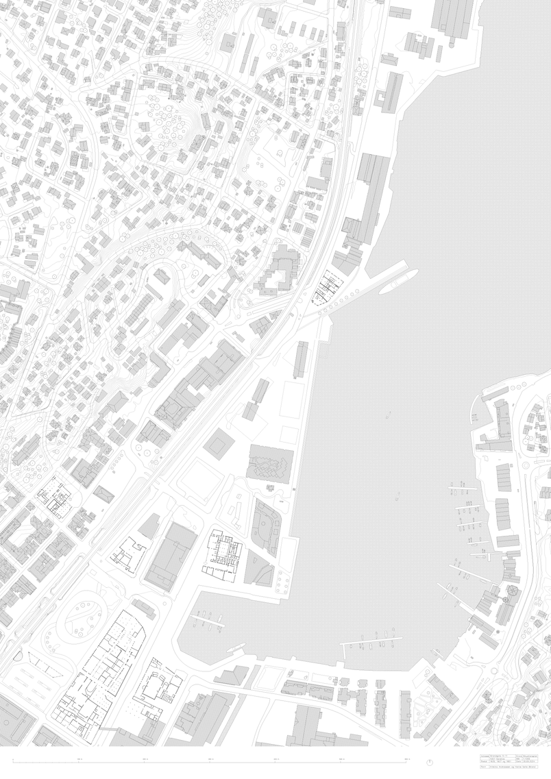 Situationsplan 1_1000
