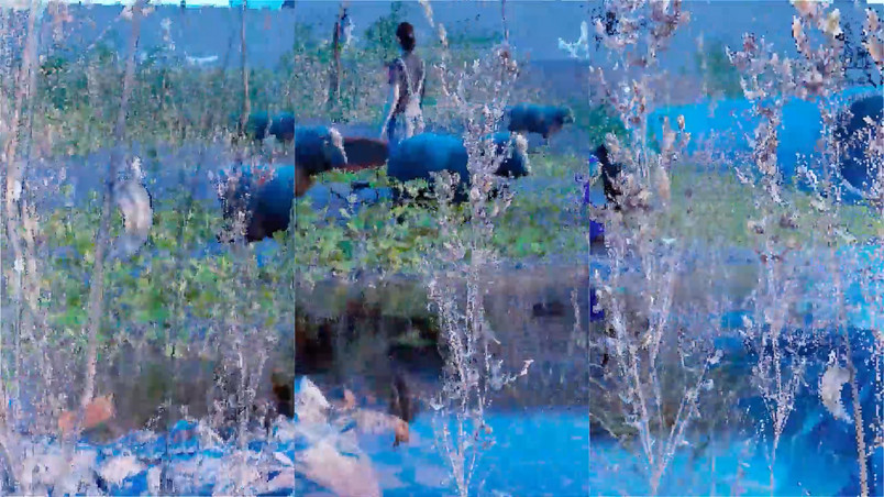 Caretakers looking after sheep on an overgrown riverbank south of the Zalando campus. Screenshot of digital model display. 