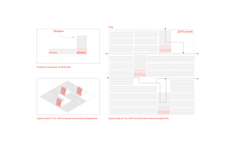 Layout studies on 1 hectare 