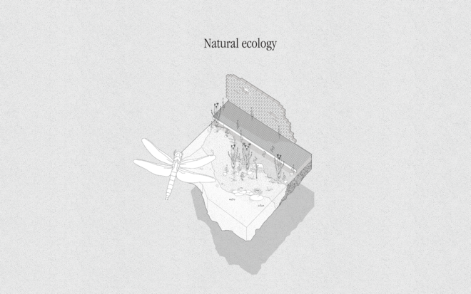 Natural ecology