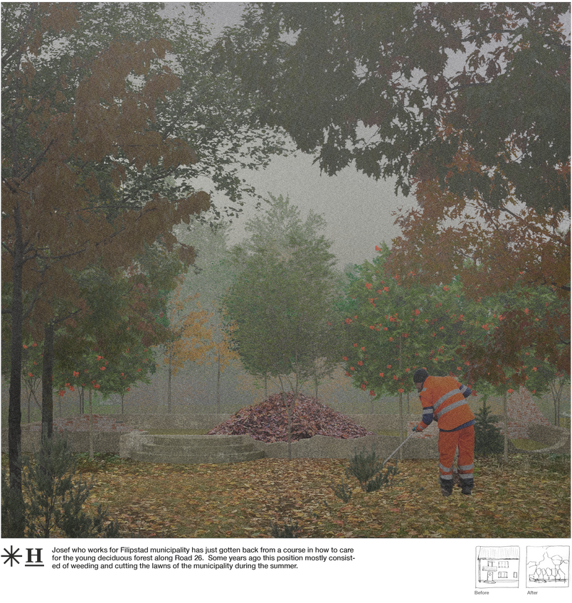 Josef who works for Filipstad municipality has just gotten back from a course in how to care for the young deciduous forest along Road 26.  Some years ago this position mostly consisted of weeding and cutting the lawns of the municipality during the summer. 