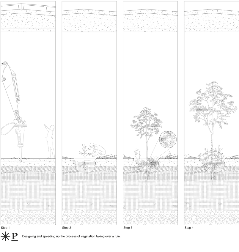 Designing and speeding up the process of vegetation taking over a ruin.