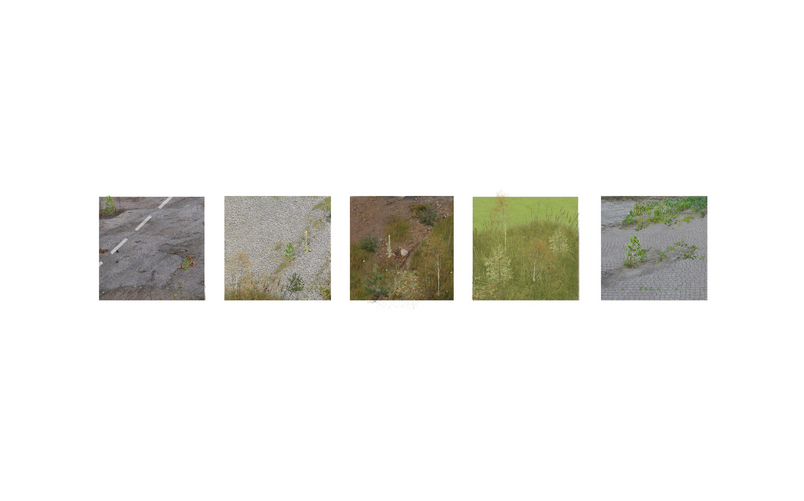 Research: How does things decay and grow?