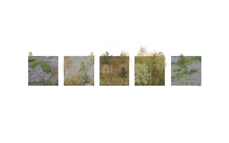 Research: How does things decay and grow?