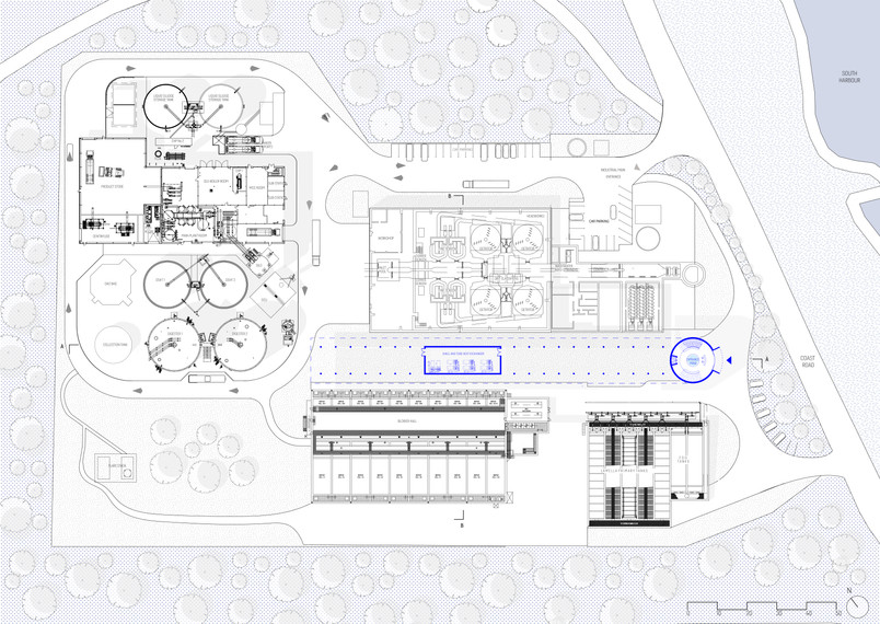 Site Plan 