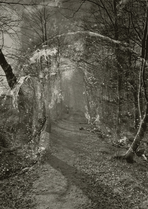 Tunnel