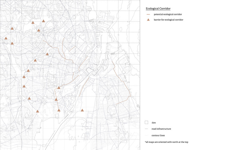 Ecological corridors