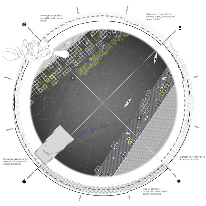 Seasonal Plan Wheel: Kalvebod Harbour