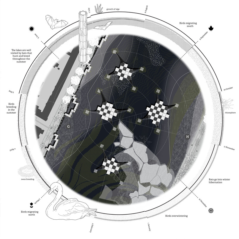 Seasonal Plan Wheel: Peblinge Lake