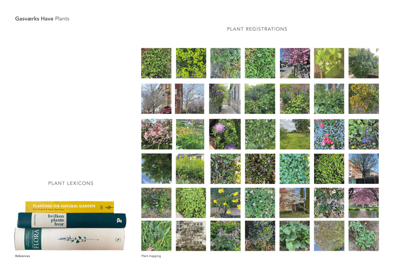 Plant Registration