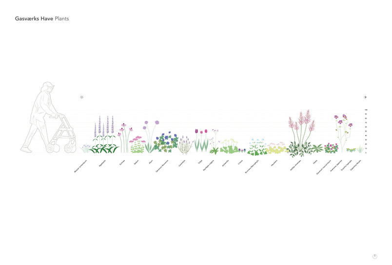 Plant structure, hight and favorit habitat